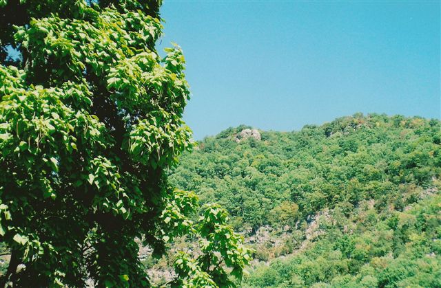 The Pinnacle from Cumberland Gap.jpg